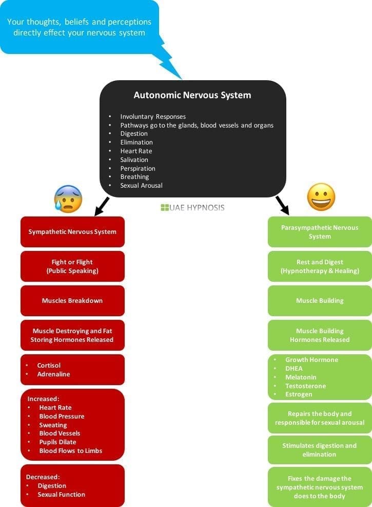 Fear-of-Public-Speaking-Nervous System Fear-of-Public-Speaking-Nervous System