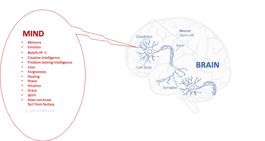 how hypnosis effects the brain.